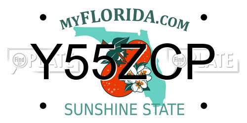 Y55ZCP Florida License Plate