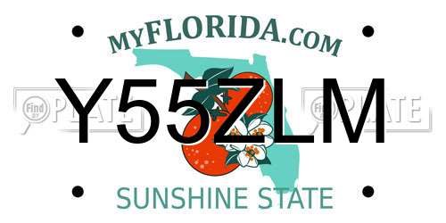 Y55ZLM Florida License Plate