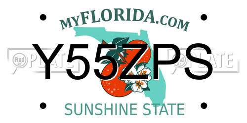 Y55ZPS Florida License Plate