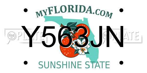 Y563JN Florida License Plate