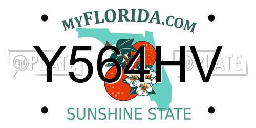Y564HV Florida License Plate