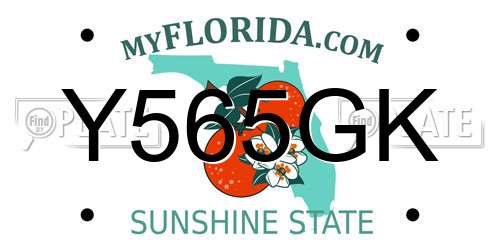 Y565GK Florida License Plate