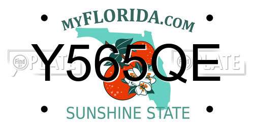 Y565QE Florida License Plate