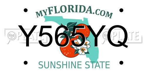 Y565YQ Florida License Plate