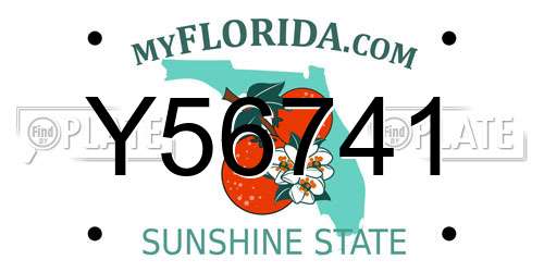 Y56741 Florida License Plate