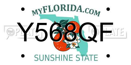 Y568QF Florida License Plate