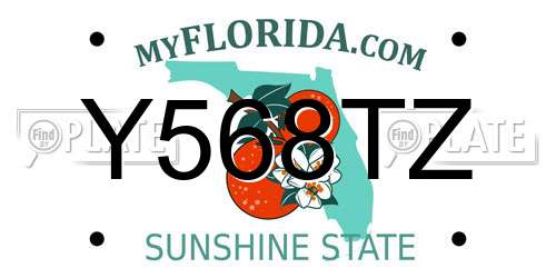 Y568TZ Florida License Plate