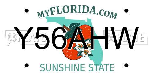 Y56AHW Florida License Plate
