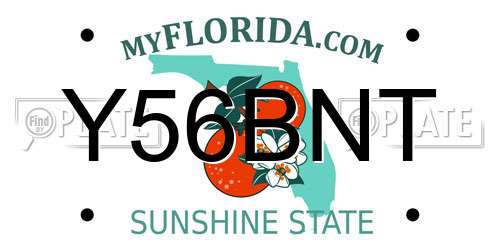 Y56BNT Florida License Plate