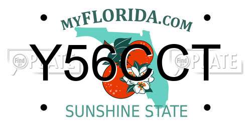 Y56CCT Florida License Plate