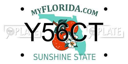 Y56CT Florida License Plate