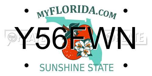 Y56FWN Florida License Plate
