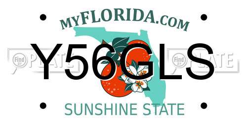 Y56GLS Florida License Plate