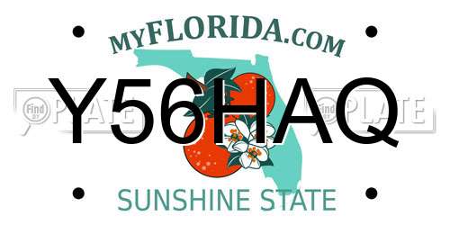 Y56HAQ Florida License Plate