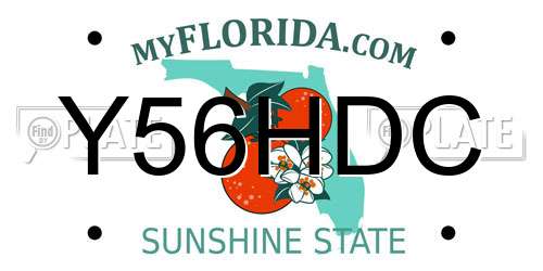 Y56HDC Florida License Plate