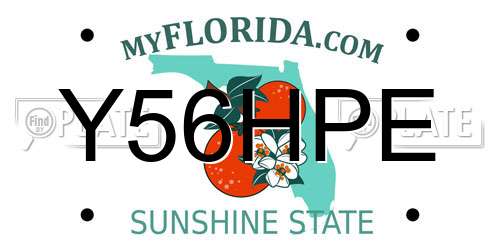 Y56HPE Florida License Plate