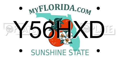 Y56HXD Florida License Plate