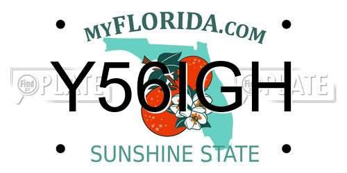 Y56IGH Florida License Plate