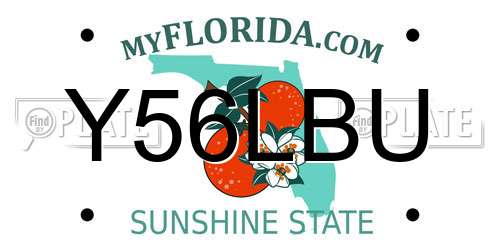 Y56LBU Florida License Plate