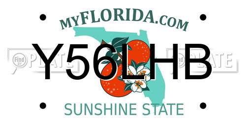 Y56LHB Florida License Plate