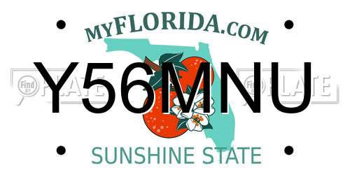Y56MNU Florida License Plate