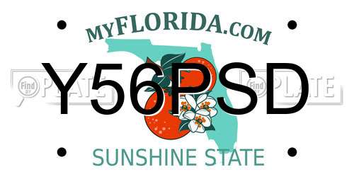 Y56PSD Florida License Plate