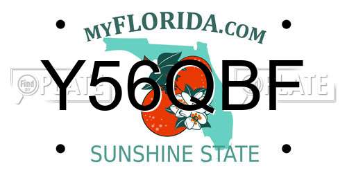 Y56QBF Florida License Plate