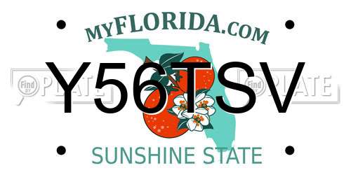 Y56TSV Florida License Plate