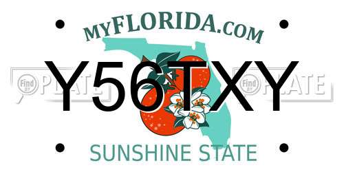 Y56TXY Florida License Plate