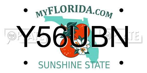 Y56UBN Florida License Plate