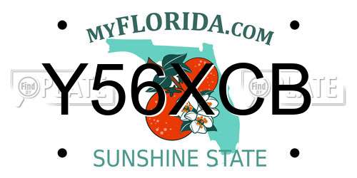 Y56XCB Florida License Plate