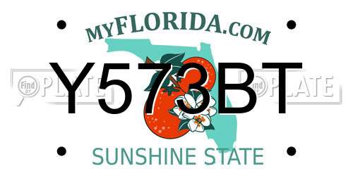 Y573BT Florida License Plate
