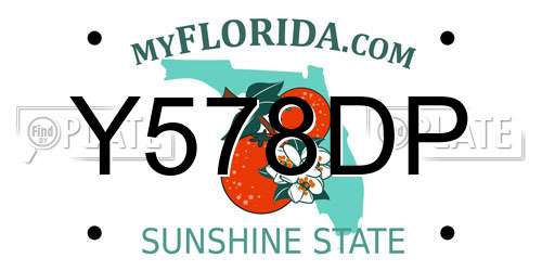 Y578DP Florida License Plate
