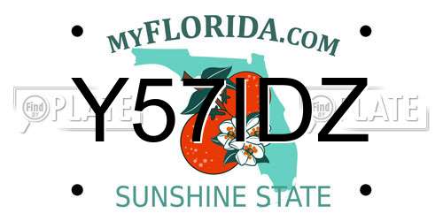 Y57IDZ Florida License Plate