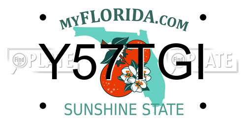 Y57TGI Florida License Plate