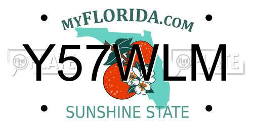 Y57WLM Florida License Plate