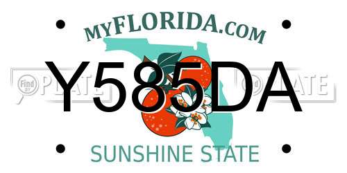Y585DA Florida License Plate
