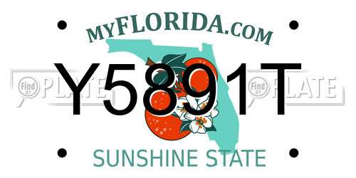 Y5891T Florida License Plate