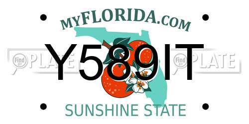 Y589IT Florida License Plate