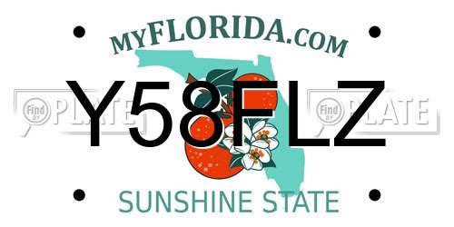 Y58FLZ Florida License Plate