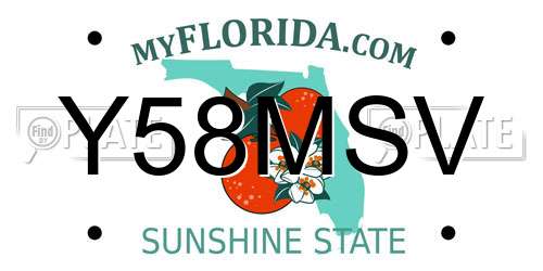 Y58MSV Florida License Plate