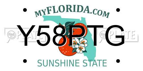 Y58PTG Florida License Plate
