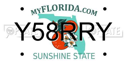 Y58RRY Florida License Plate