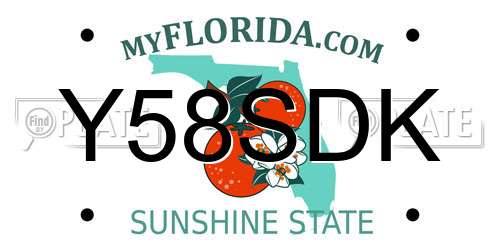 Y58SDK Florida License Plate