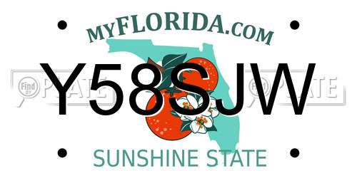 Y58SJW Florida License Plate