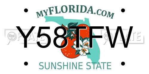 Y58TFW Florida License Plate