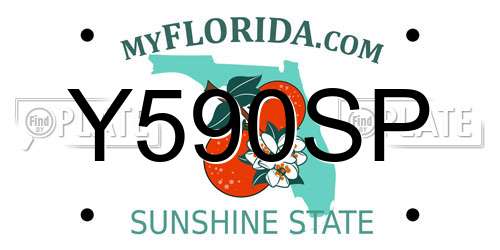 Y590SP Florida License Plate