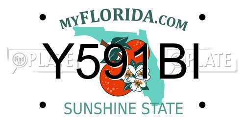 Y591BI Florida License Plate