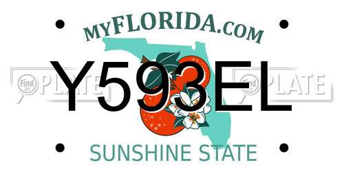 Y593EL Florida License Plate
