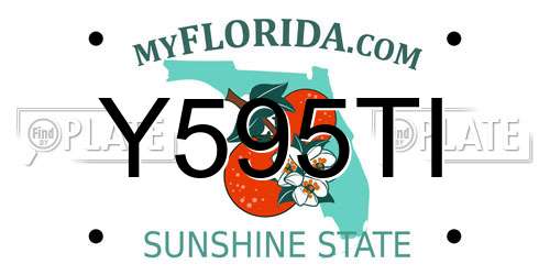 Y595TI Florida License Plate